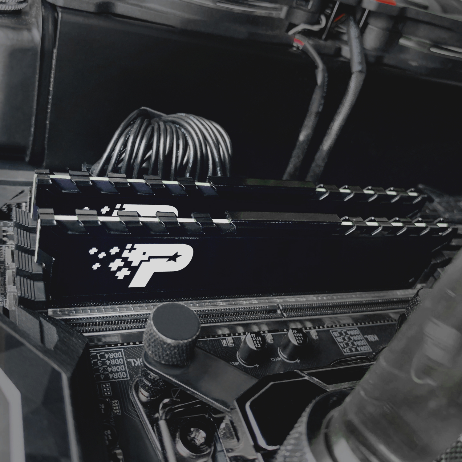 Patriot Signature Premium Line DDR4 16GB 3200MHz UDIMM - Image 5